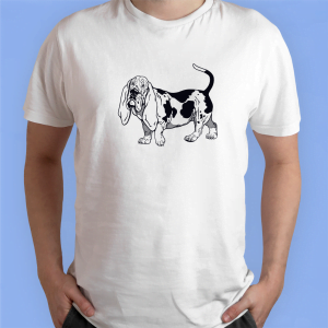 Basset hound