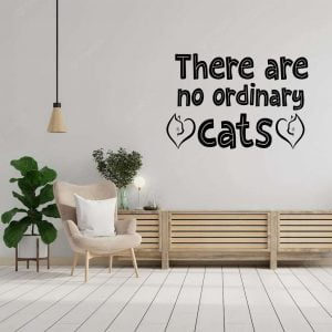 There are no ordinary cats