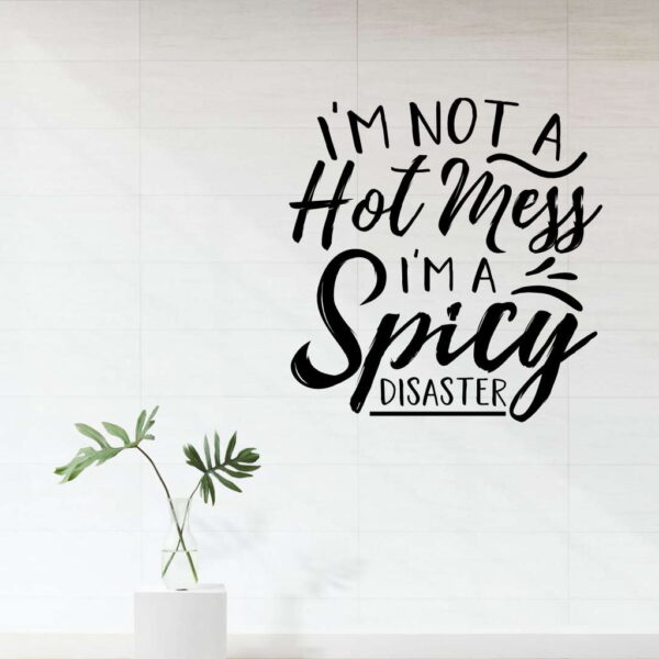 Im Not a Hot Mess