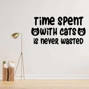 Time spent with cats is never wasted